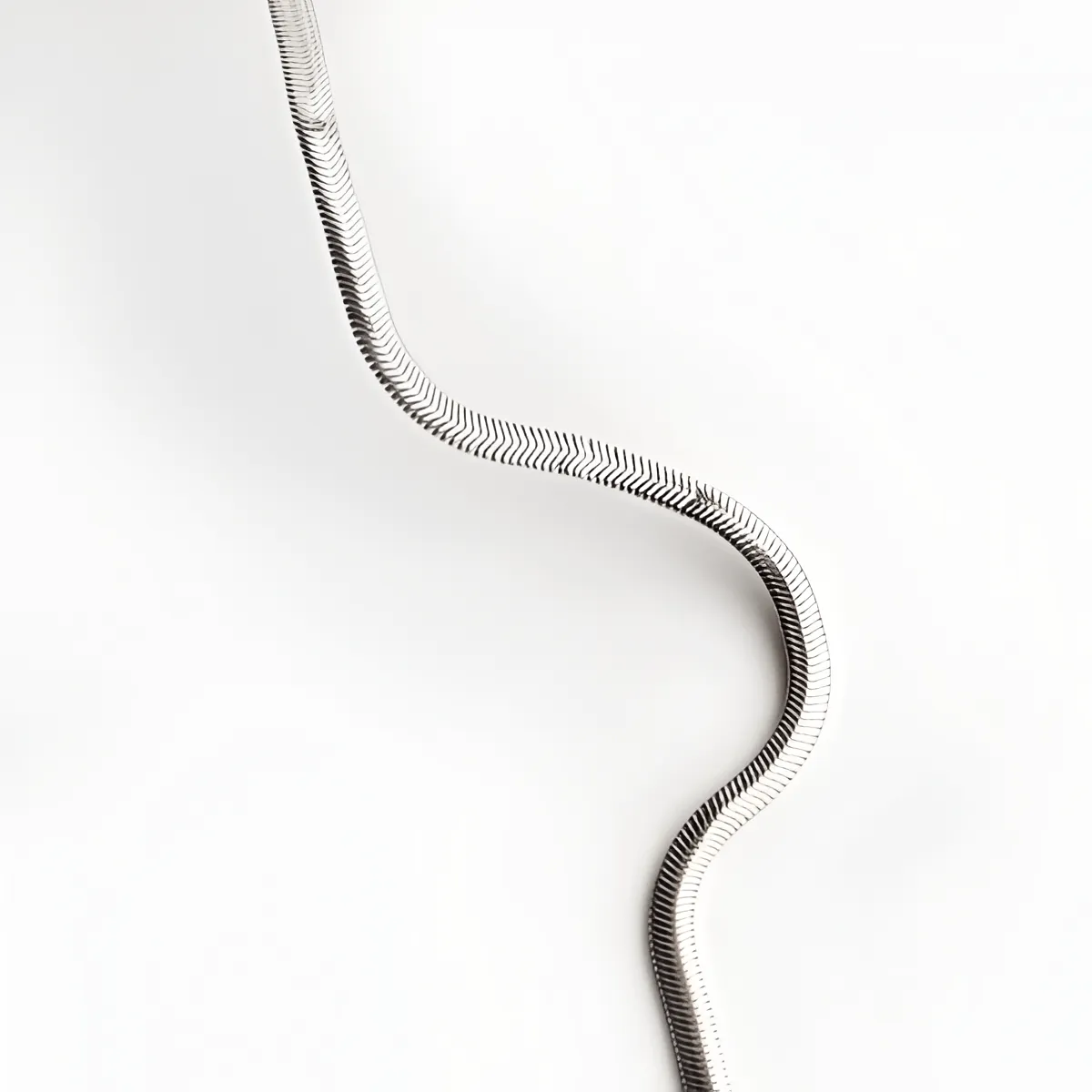 snake chain - Image 3